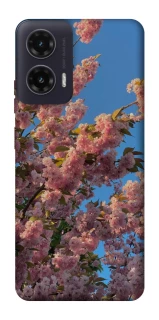 Чехол на Motorola Moto G35 Flowers v4 фото 1 из 1