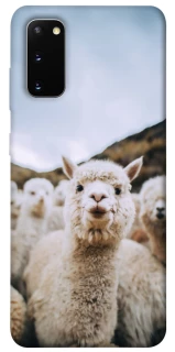 Чохол на Samsung Galaxy S20 Лама фото 1 з 1