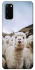 Чохол на Samsung Galaxy S20 Лама фото 1 з 1