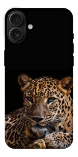 Чохол на Apple iPhone 16 Plus Leopard v4 фото 1 з 1