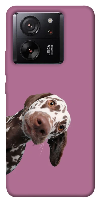 Чехол на Xiaomi 13T Pro А что тут фото 1 из 1