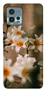 Чохол на Motorola Moto G72 Лілії фото 1 з 1