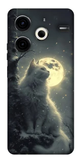 Чехол на TECNO Pova 6 Neo (LI6) Кот под луной фото 1 из 1