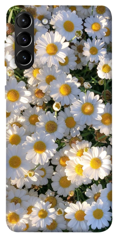 Чохол на Samsung Galaxy S21+ Поле ромашок фото 1 з 1