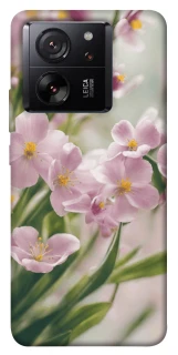 Чехол на Xiaomi 13T Pro Spring фото 1 из 1