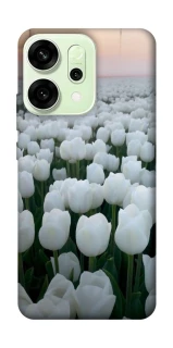 Чехол на Oppo Reno 14 Flowers v1 фото 1 Чехол на Oppo Reno 14 Flowers v1 фото 1 из 1