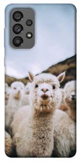 Чохол на Samsung Galaxy A73 5G Лама фото 1 з 1