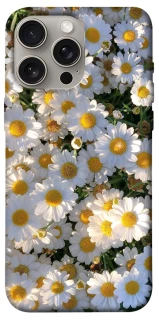 Чохол на Apple iPhone 15 Pro Max (6.7") Поле ромашок фото 1 з 1