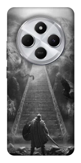 Чехол на Xiaomi Redmi 14C / Poco C75 Valhalla фото 1 из 1