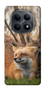 Чехол на Xiaomi Redmi Note 15 4G/5G (EU) Лиса фото 1 из 1