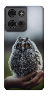 Чохол на Motorola Moto G75 Совеня фото 1 з 1