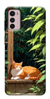 Чехол на Motorola Moto G42 red cat фото 1 из 1