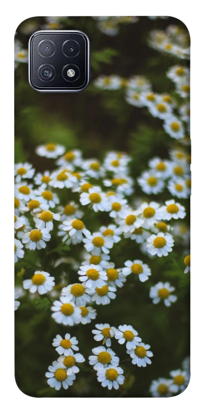Чохол на Oppo A73 Ромашки v13 фото 1 з 1