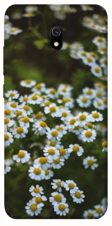Чехол на Xiaomi Redmi 8a Ромашки v13 фото 1 из 1