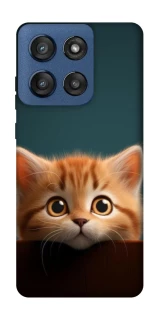 Чохол на Motorola Edge 60 Stylus Чохол Кошеня фото 1 з 1