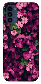 Чохол на Motorola Moto G41 Flowers v7 фото 1 з 1