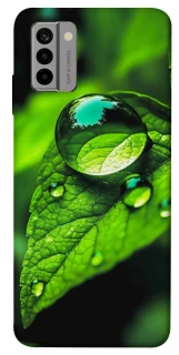 Чохол на Nokia G22 Flowers v16 фото 1 з 1