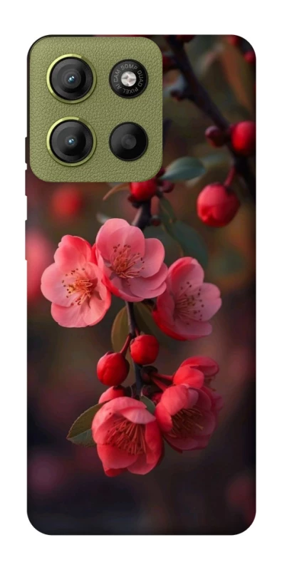 Чохол на Motorola Moto G15 4G Flowers v28 фото 1 з 1