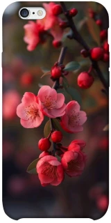 Чехол на Apple iPhone 6/6s plus (5.5") Flowers v28 фото 1 из 1