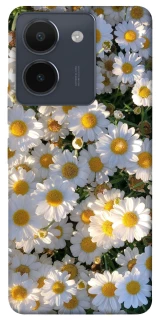 Чохол на Vivo Y36 Поле ромашок фото 1 з 1
