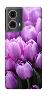 Чохол на Motorola Moto G85 Фіолетові тюльпани фото 1 з 1