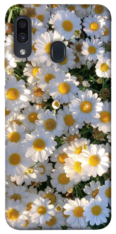 Чехол на Samsung Galaxy A20 / A30 Поле ромашек фото 1 из 1