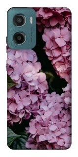 Чохол на Motorola Moto G06 Рожеві гартензії фото 1 з 1