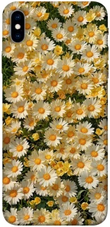 Чехол на Apple iPhone XS Max (6.5") Camomile фото 1 из 1