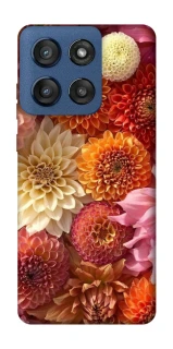 Чохол на Motorola Edge 60 Stylus Bouquet фото 1 з 1