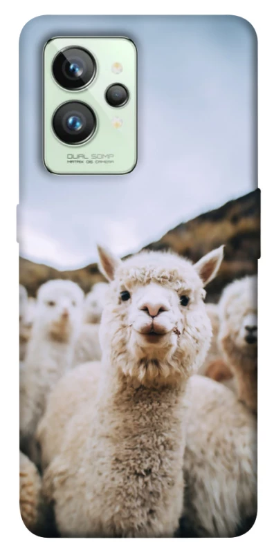 Чохол на Realme GT2 Лама фото 1 з 1