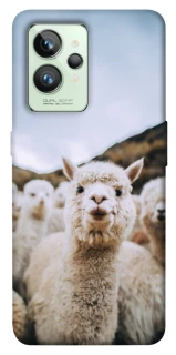 Чохол на Realme GT2 Лама фото 1 з 1