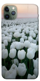 Чохол на Apple iPhone 11 Pro Max (6.5") Flowers v1 фото 1 з 1