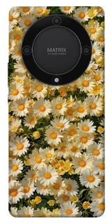 Чехол на Huawei Magic5 Lite Camomile фото 1 из 1