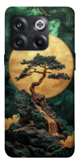 Чехол на OnePlus 10T banzai фото 1 из 1