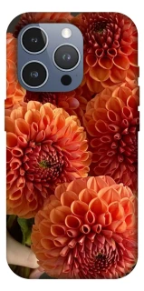 Чохол на Apple iPhone 16 Pro Max Flower1 фото 1 з 1