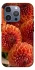 Чехол на Apple iPhone 16 Pro Max Flower1 фото 1 из 1