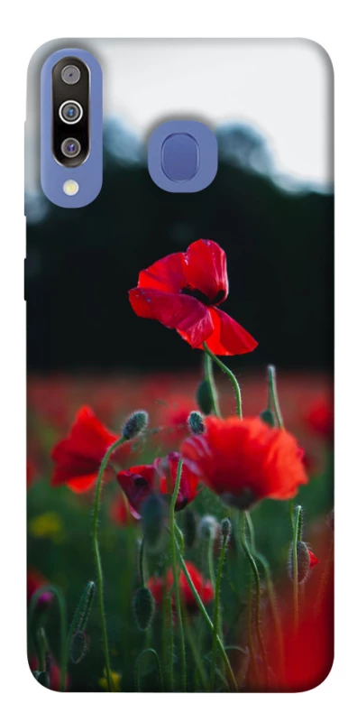 Чехол на Samsung Galaxy M30 Мак фото 1 из 1