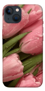 Чохол на Apple iPhone 13 (6.1") Beauty фото 1 з 1