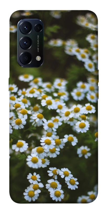 Чохол на Oppo Reno 5 4G Ромашки v13 фото 1 з 1