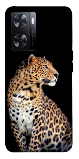 Чехол на OnePlus Nord N20 SE Leopard v2 фото 1 из 1