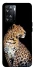Чохол на OnePlus Nord N20 SE Leopard v2 фото 1 з 1
