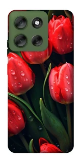 Чохол на Motorola Moto G56 5G Червоні тюльпани фото 1 Чохол на Motorola Moto G56 5G Червоні тюльпани фото 1 з 1