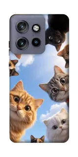 Чехол на Motorola Edge 50 Neo Cats фото 1 из 1