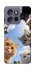 Чохол на Motorola Edge 50 Neo Cats фото 1 з 1
