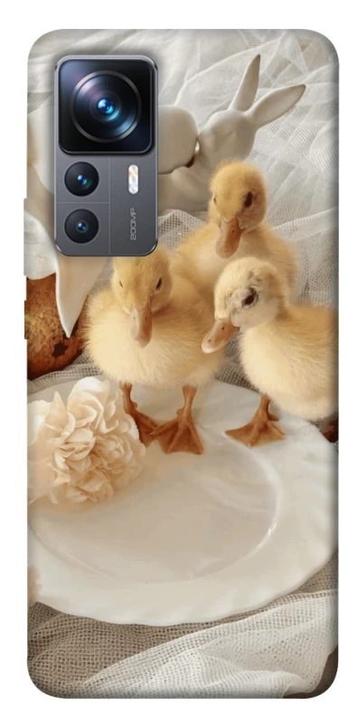 Чохол на Xiaomi 12T / 12T Pro Easter Vibes фото 1 з 1