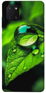 Чохол на Samsung Galaxy Note 10 Lite (A81) Flowers v16 фото 1 з 1