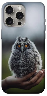 Чохол на Apple iPhone 15 Pro Max (6.7") Совеня фото 1 з 1