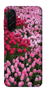 Чохол на Samsung Galaxy A26 5G Flowers v9 фото 1 з 1