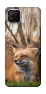 Чохол на Oppo A73 (2017) Лисиця фото 1 з 1