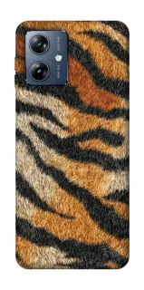 Чохол на Motorola Moto G54 Power Tiger фото 1 з 1